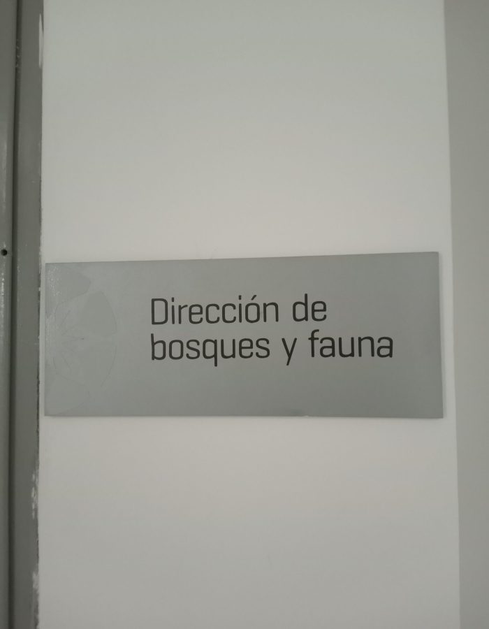 IMG_20240405_110910_309